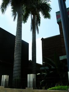 DSCN4812.jpg
